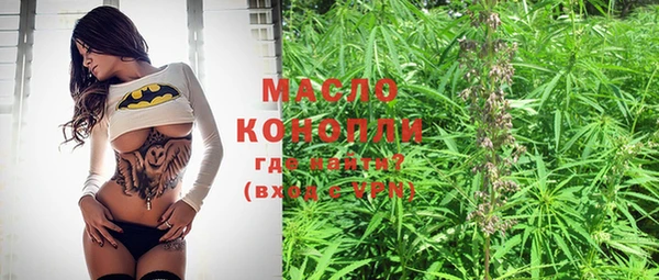 молекула духа Арсеньев