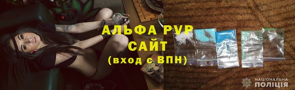 молекула духа Арсеньев