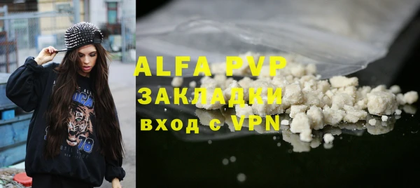 молекула духа Арсеньев
