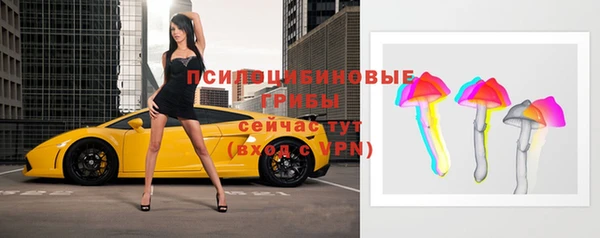молекула духа Арсеньев