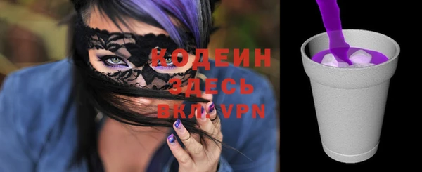 молекула духа Арсеньев