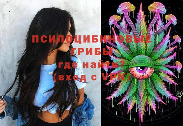 молекула духа Арсеньев