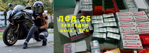 молекула духа Арсеньев