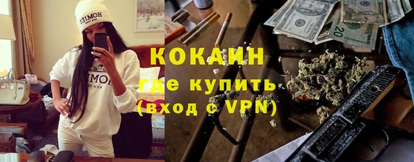 молекула духа Арсеньев