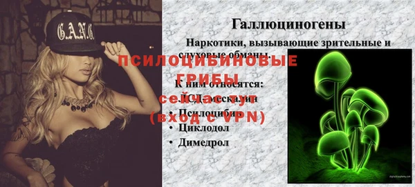 молекула духа Арсеньев