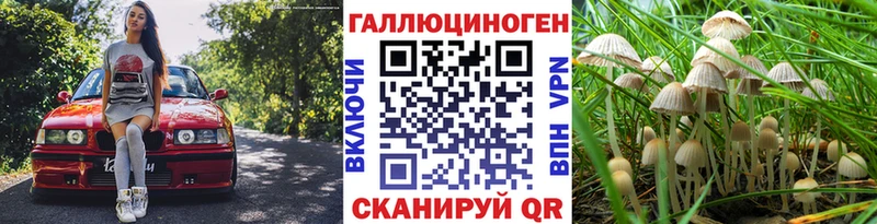 mega сайт  Раменское  Галлюциногенные грибы Psilocybine cubensis 