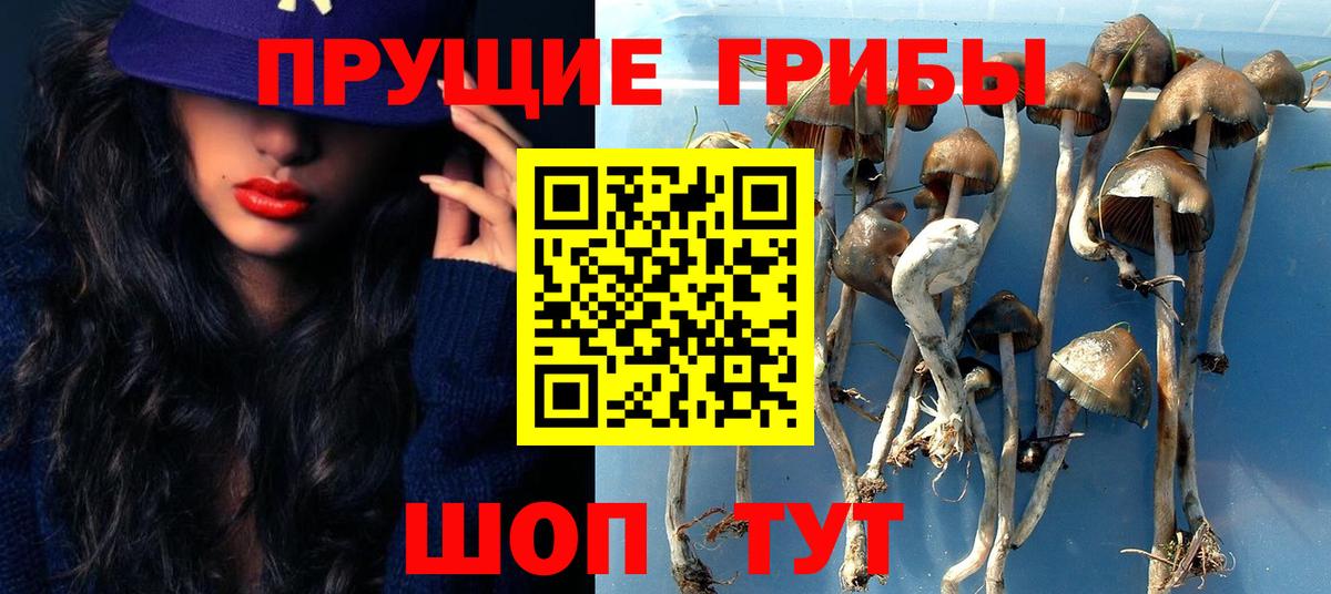 Галлюциногенные грибы Magic Shrooms Раменское