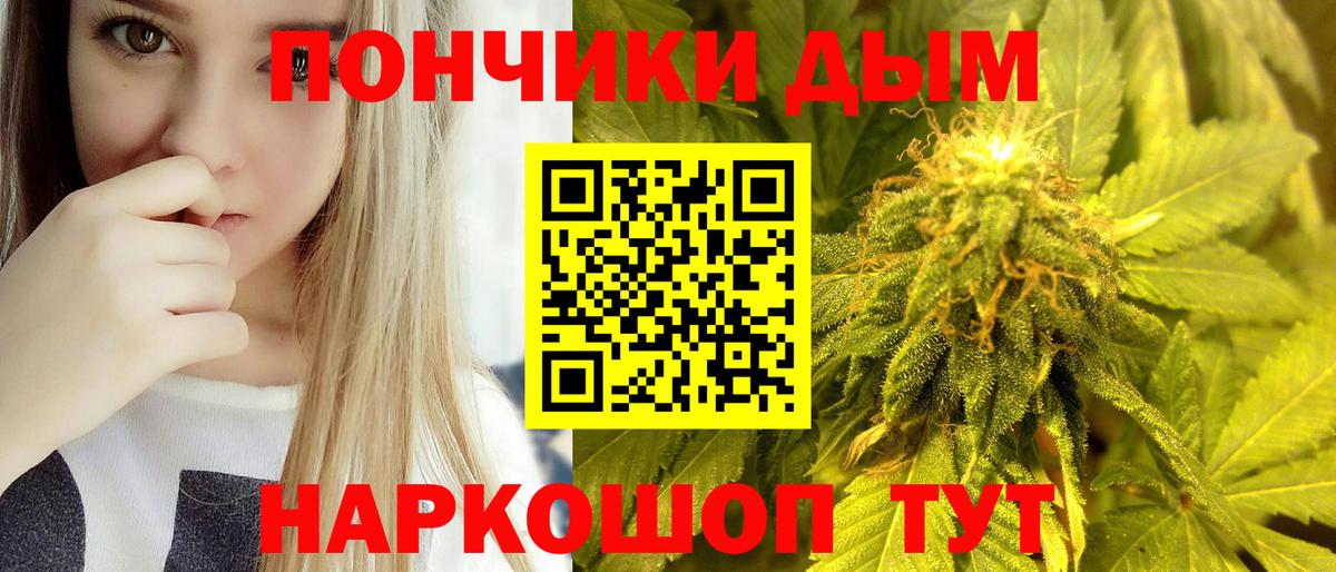 Конопля планчик Раменское
